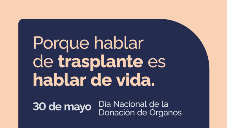 Lee más sobre el artículo 