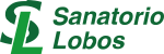 sl-300x100-1.png